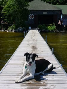 Lily Chills Out on the Runoia Docks