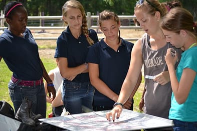 Runoia Horseshow Picking Horses